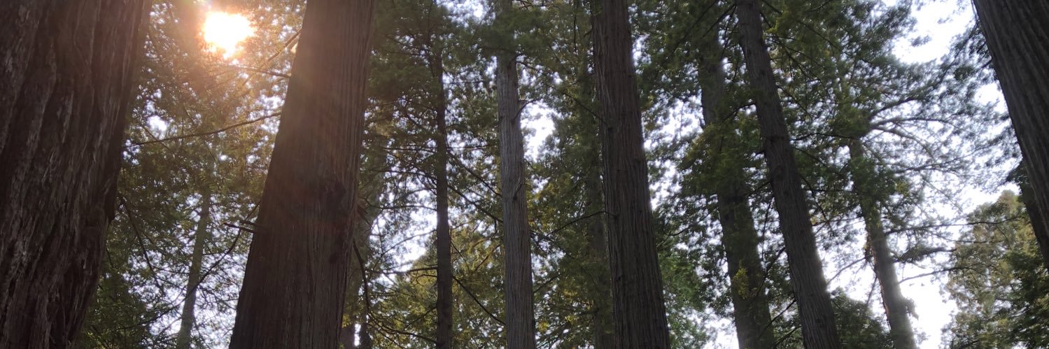 annieamarshall's profile banner image