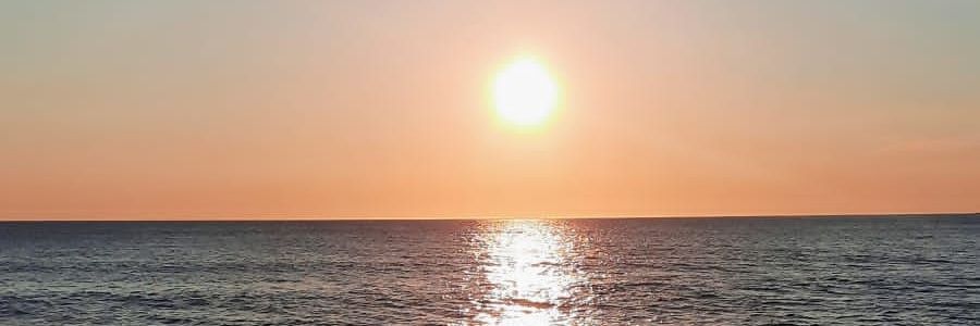 Pleanáil Teanga CCF banner