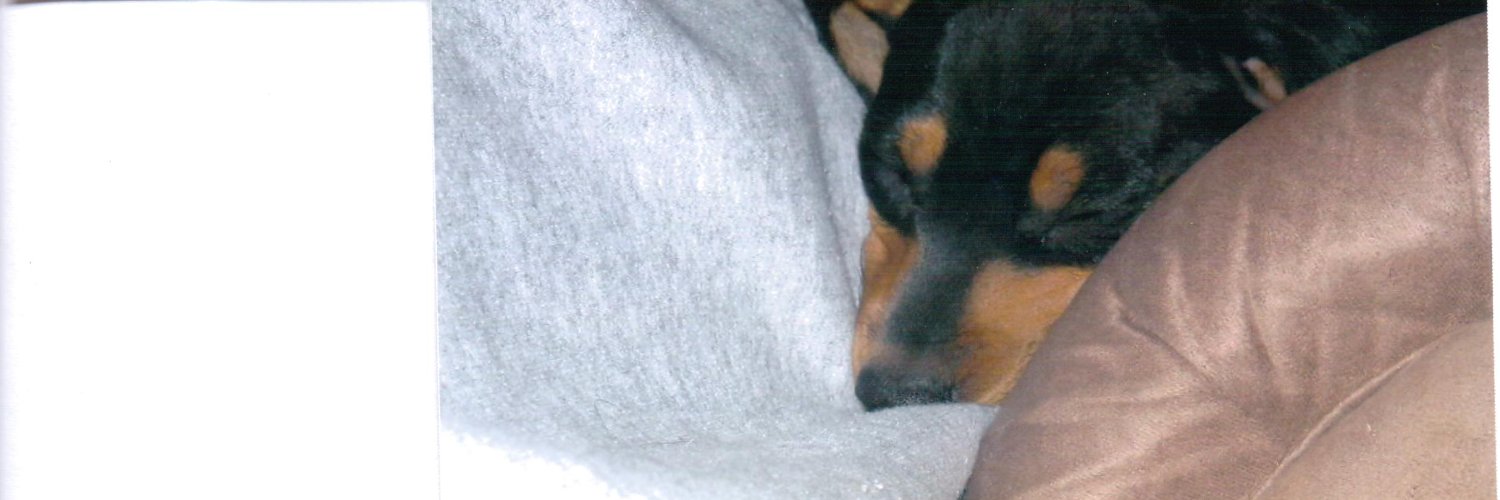 AaronDierks1's profile banner image