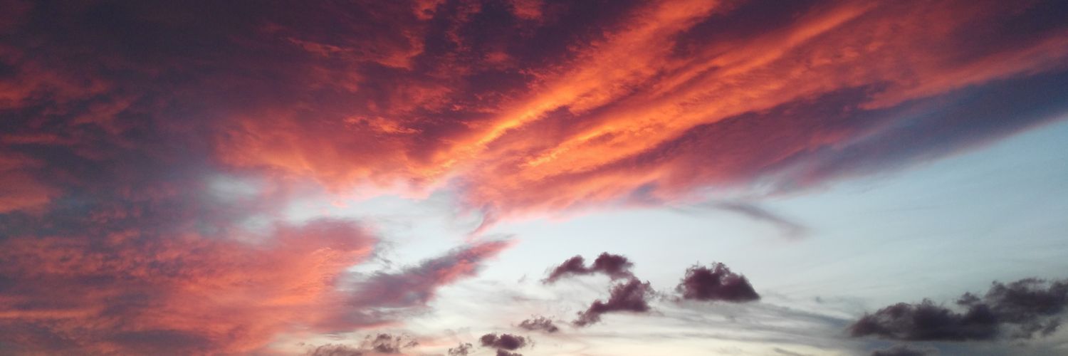 martarodrig_'s profile banner image