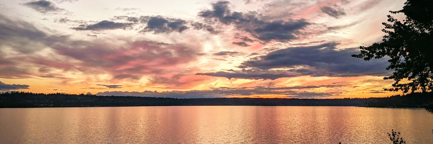 WengerEdward's profile banner image