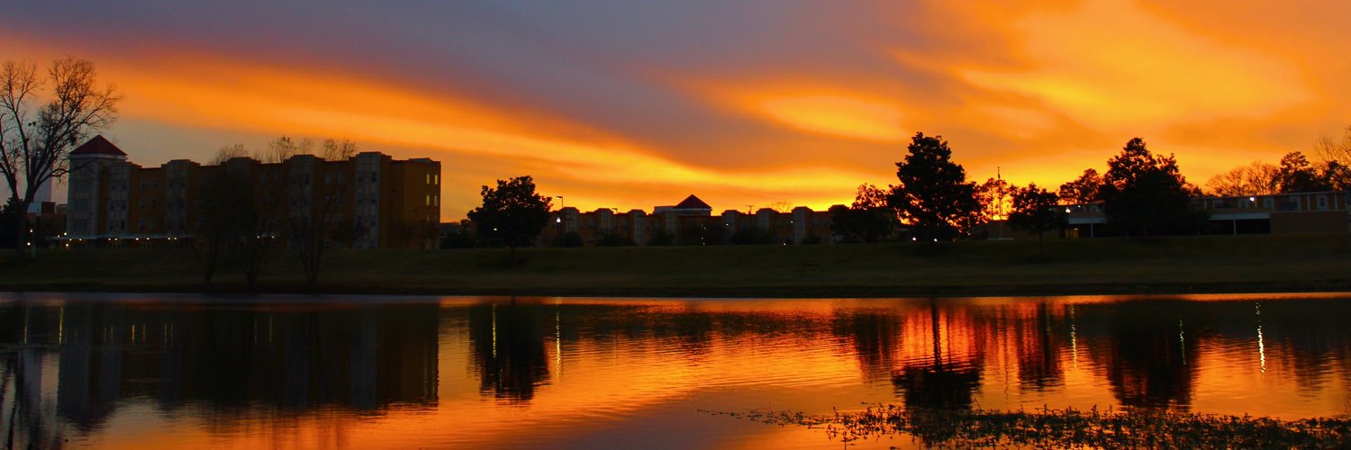 collin_landry's profile banner image