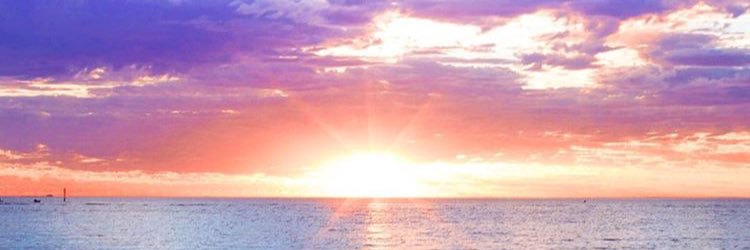 colleenlynchh's profile banner image