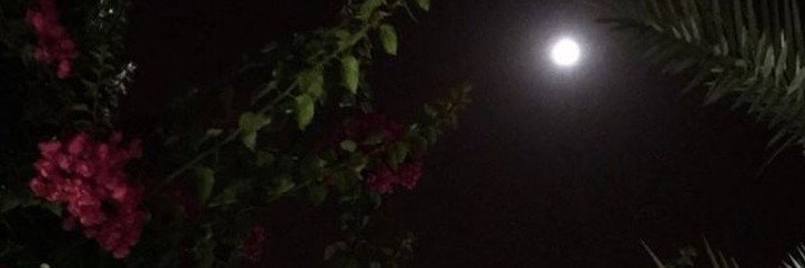 SHGR01's profile banner image
