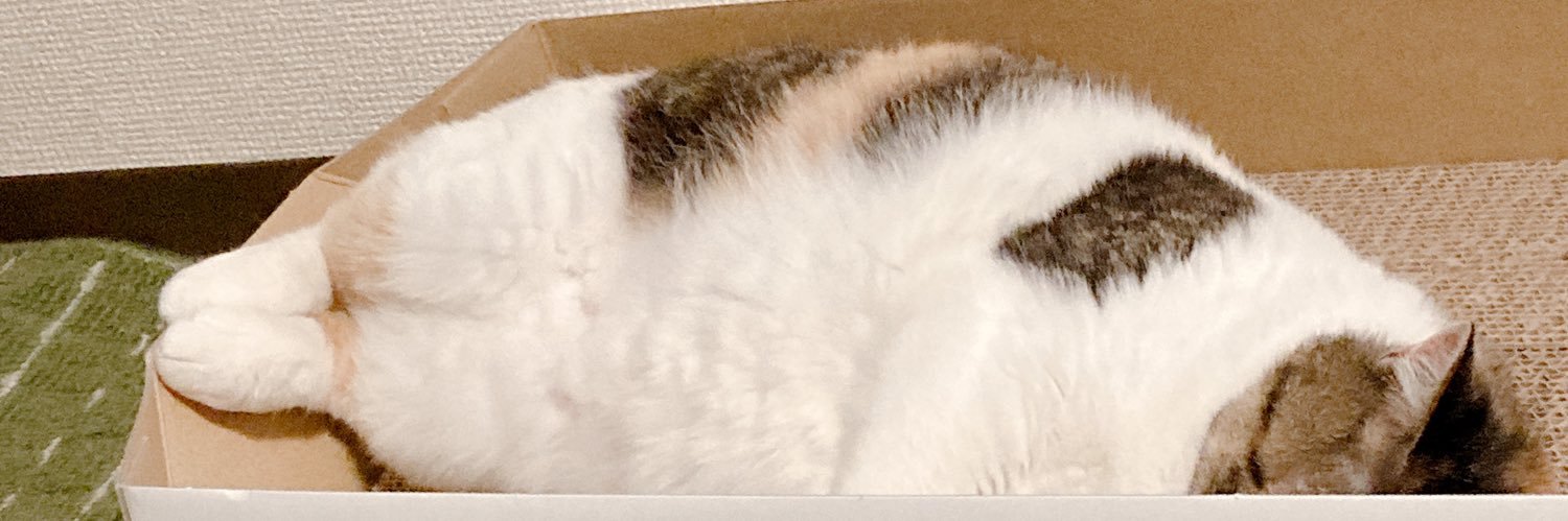 cat_YASHINAI's profile banner image