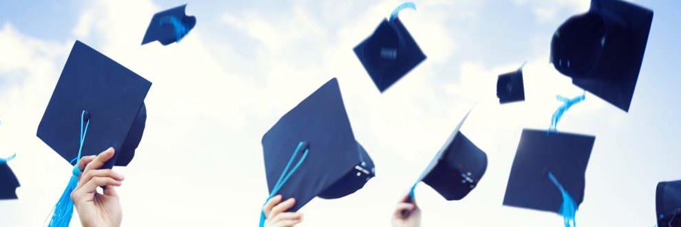 De Berekuyl Academy banner