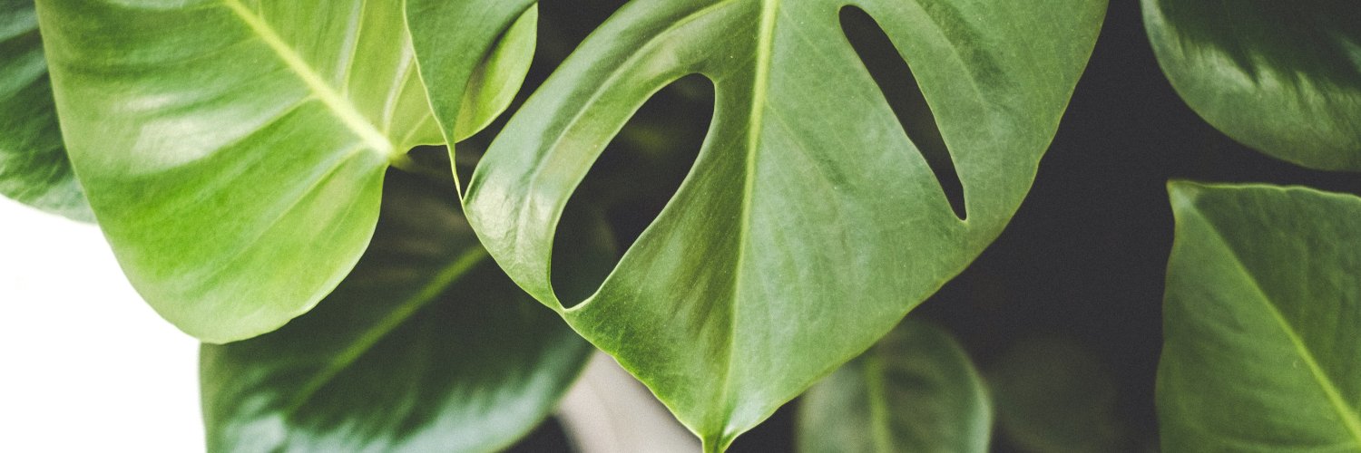 samxng's profile banner image