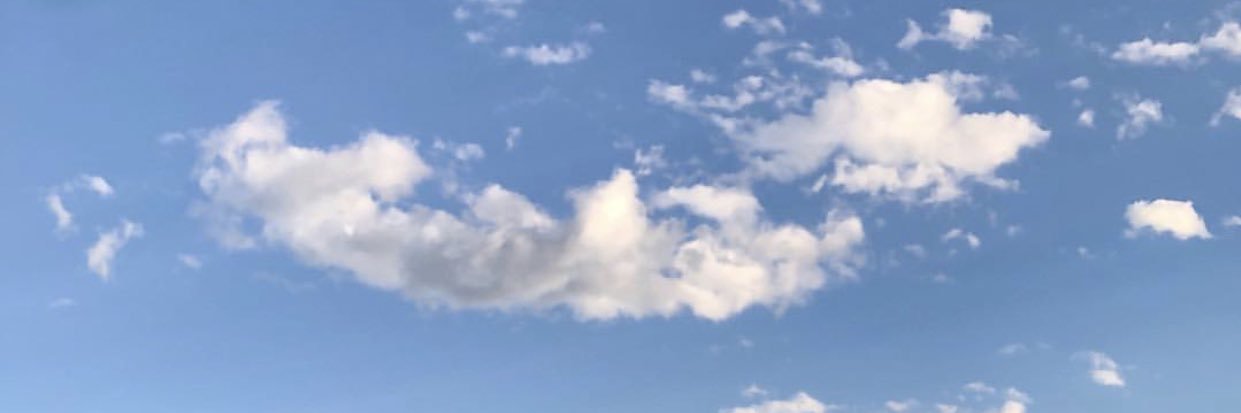 🐯🐶🐻 banner