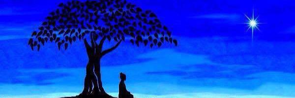 isa_biondi's profile banner image