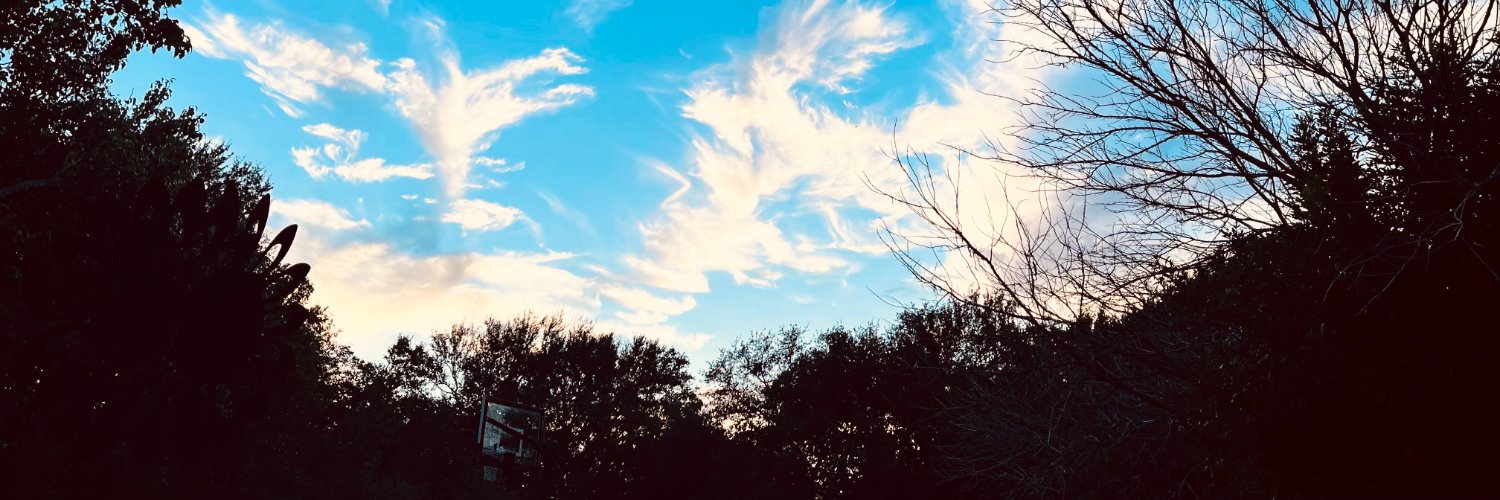 ericasbery's profile banner image