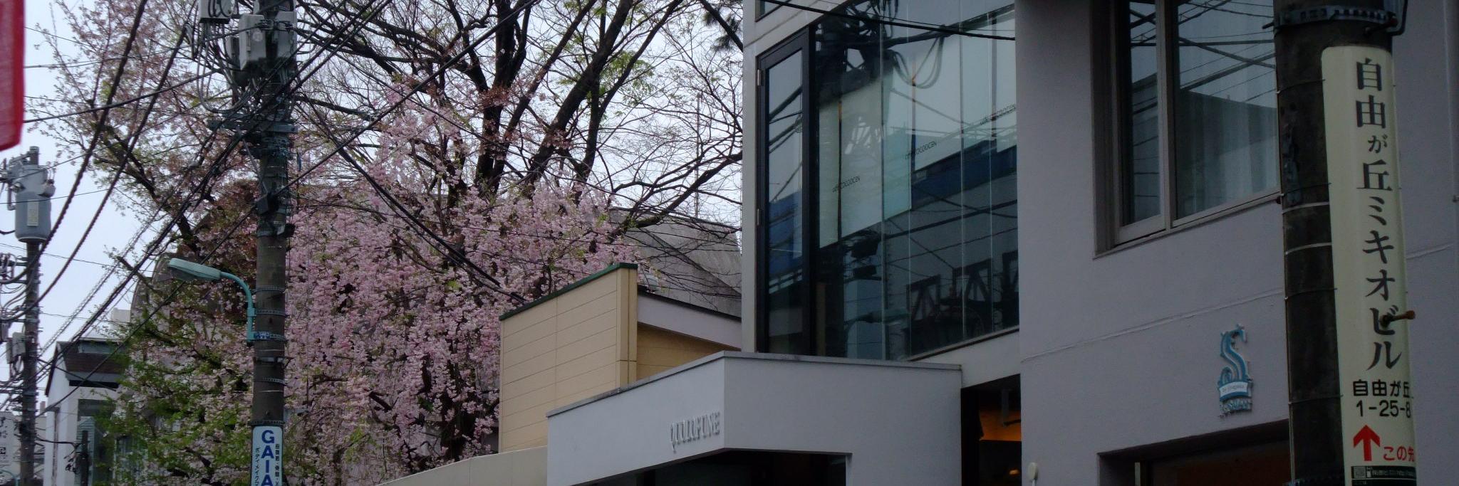 矢弦 banner
