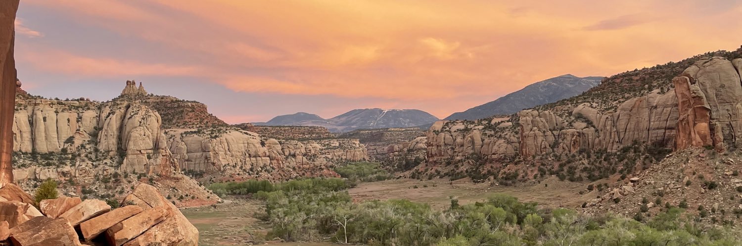 Ted Pinson 🕊️ banner