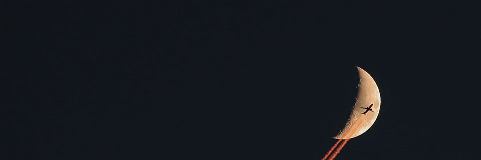 ʕ·ᴥ·ʔ Pipit banner