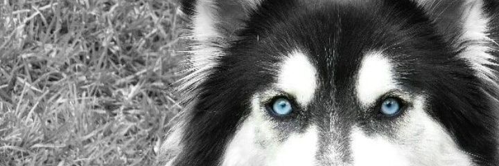 Andreagbe's profile banner image