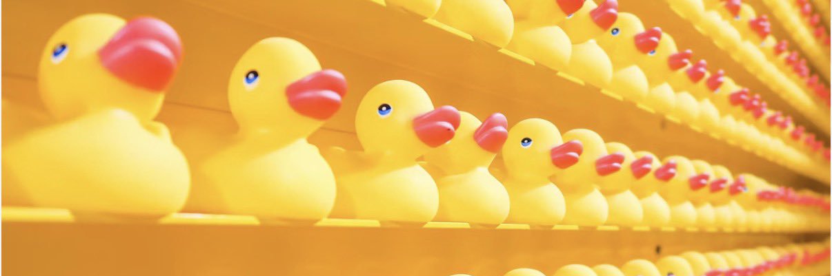 em060309's profile banner image