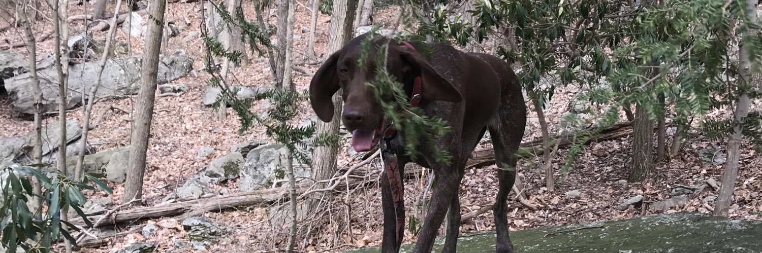 HunterWright65's profile banner image