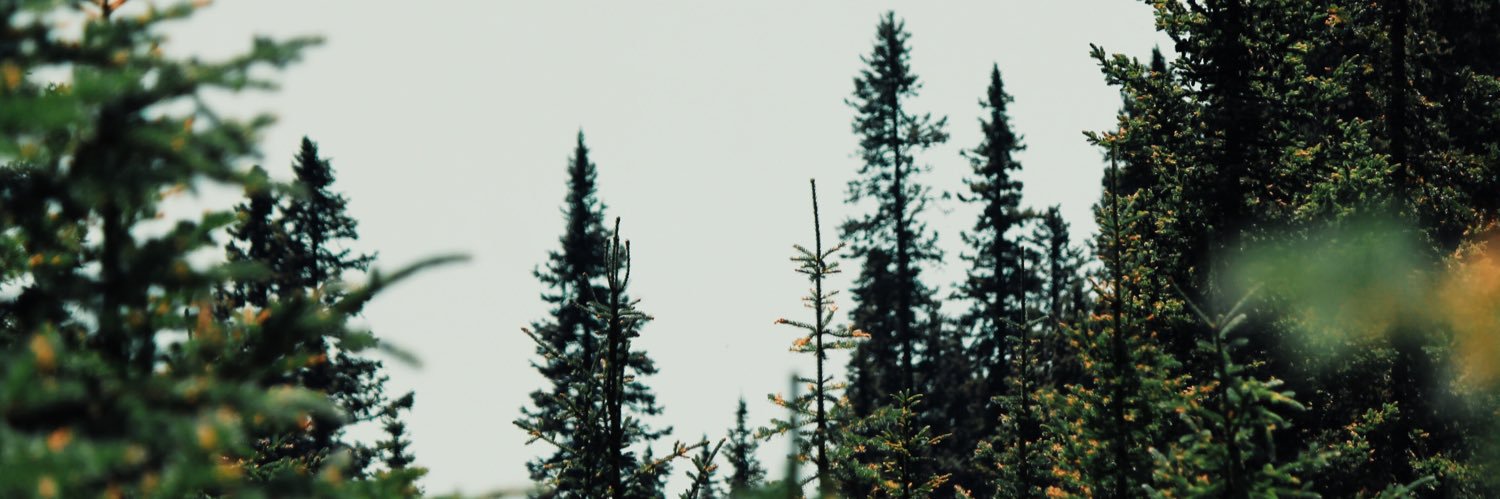 chelsiharvey's profile banner image