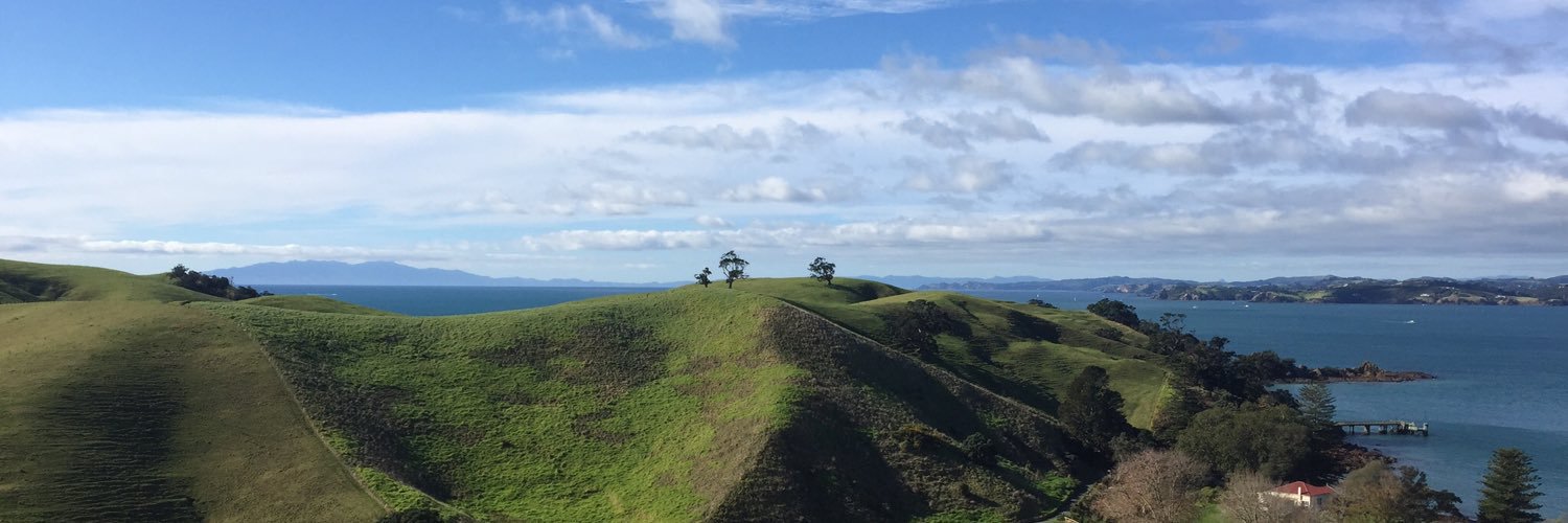 JaneLuscombe's profile banner image