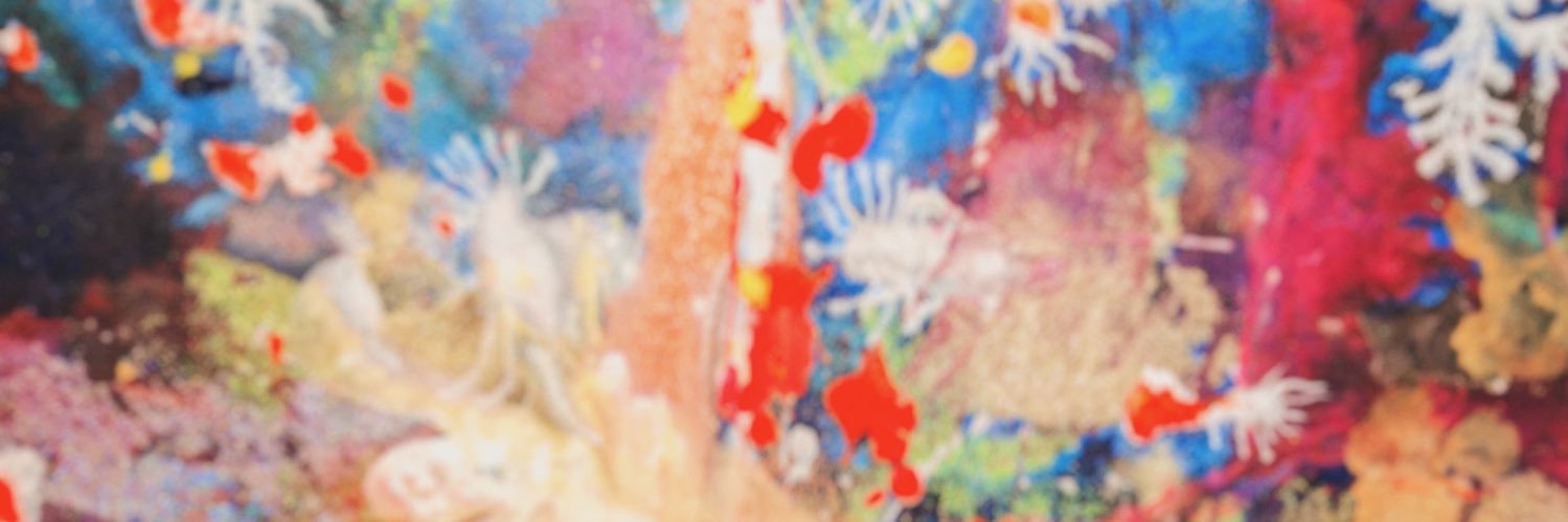 celine banner