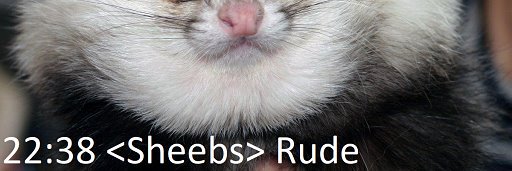 Sheebs banner