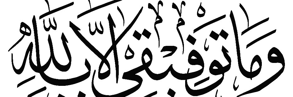 tcata_wan's profile banner image