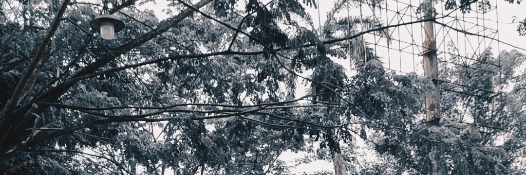 Da_aulia48's profile banner image