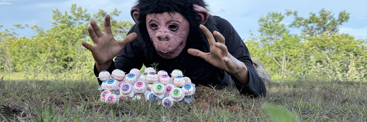 BestCollection5's profile banner image