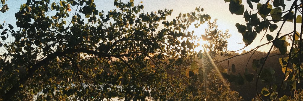 ericacanchola's profile banner image