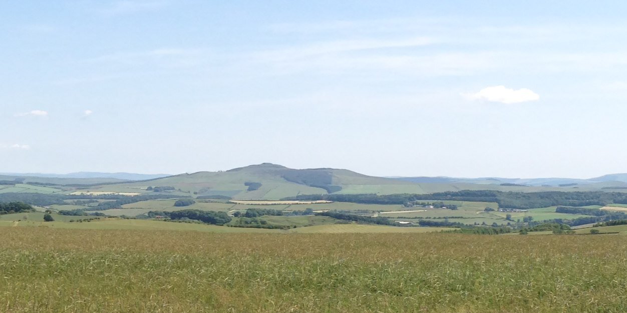 Hawick Common Riding banner