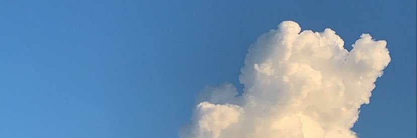 𓂂 ˃̵͈̑ᴗ❛ ’. ꙳ banner
