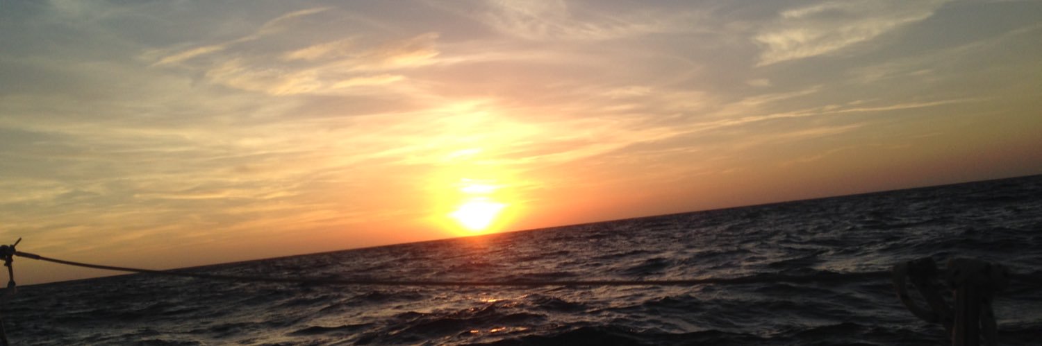 MassimoCicale's profile banner image