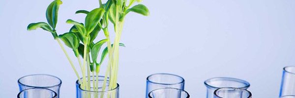 DCarrez Profile Banner