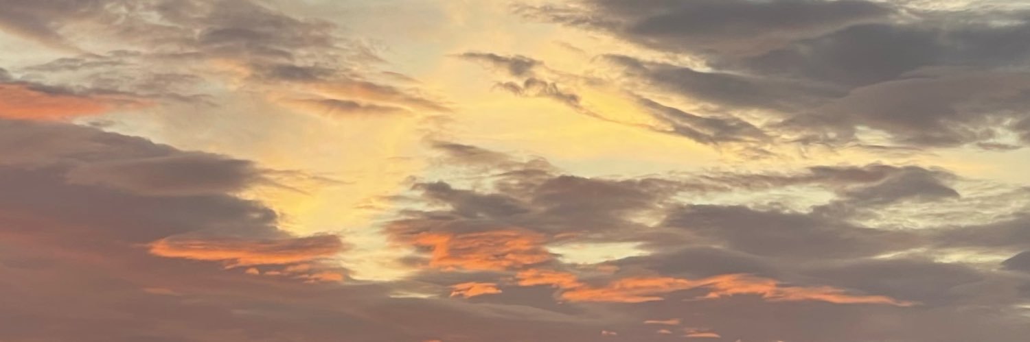 melonpeachx's profile banner image