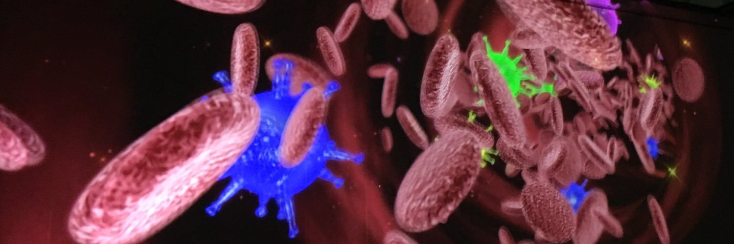 Nikos Papadopoulos banner