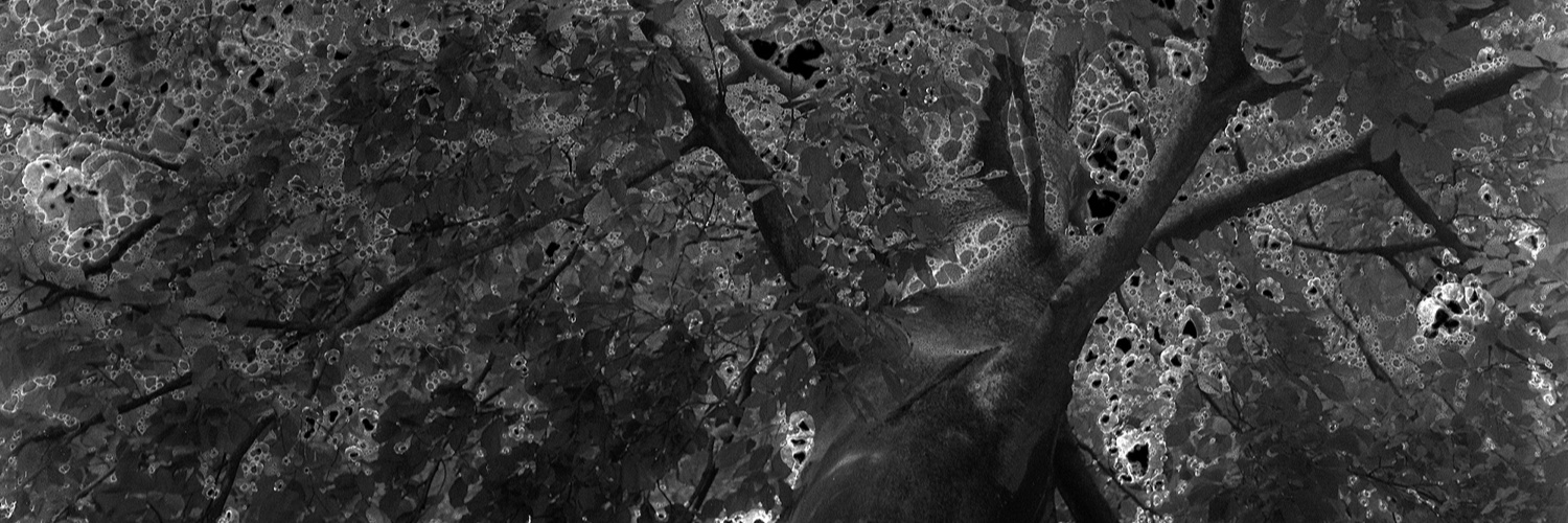 HanSoete's profile banner image