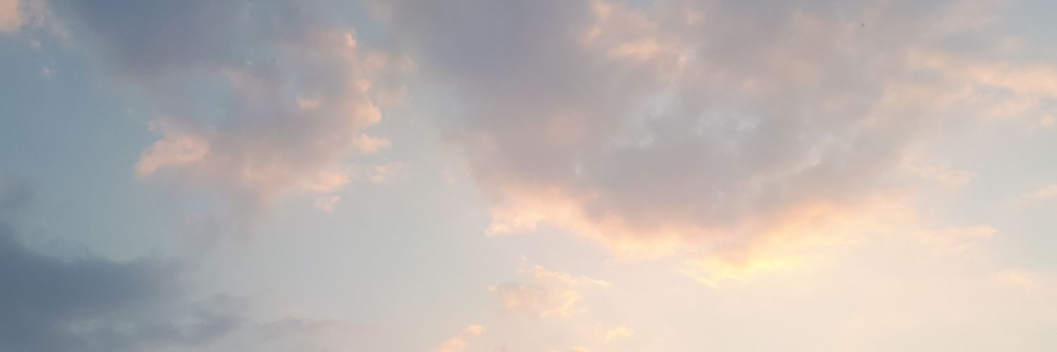 DanielaZeijger's profile banner image