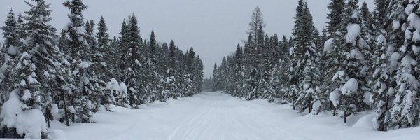 GarthTwitchell Profile Banner