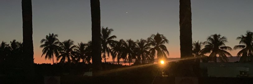 oiseaurebelle__'s profile banner image
