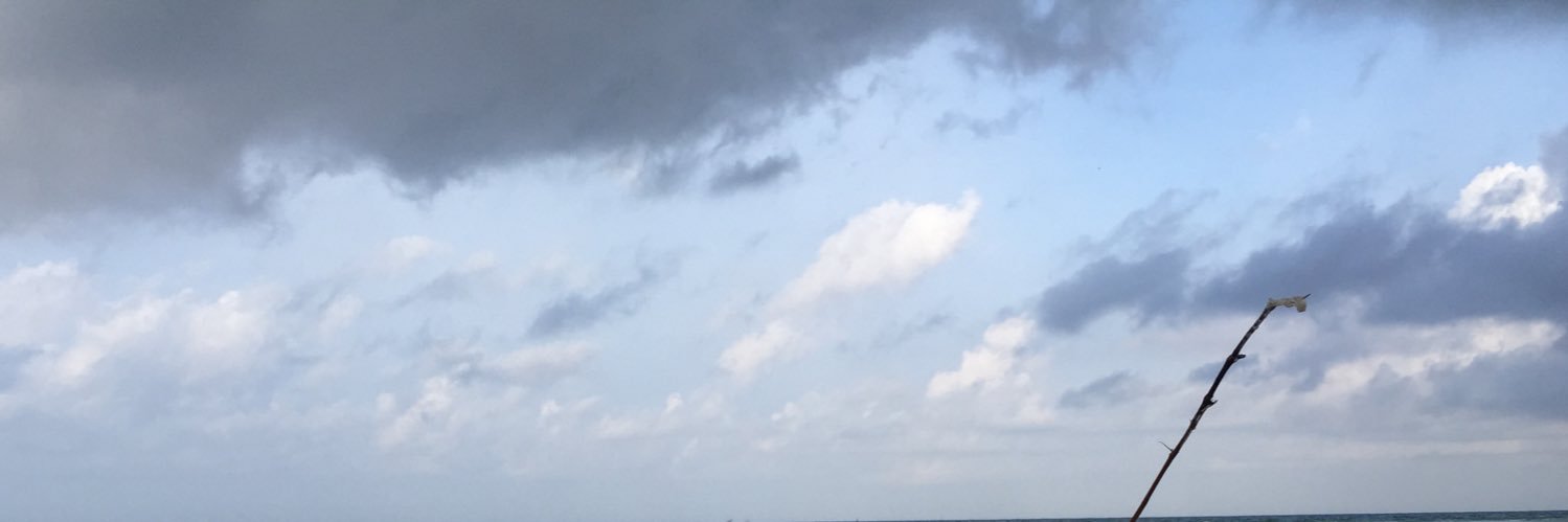 mbronas's profile banner image