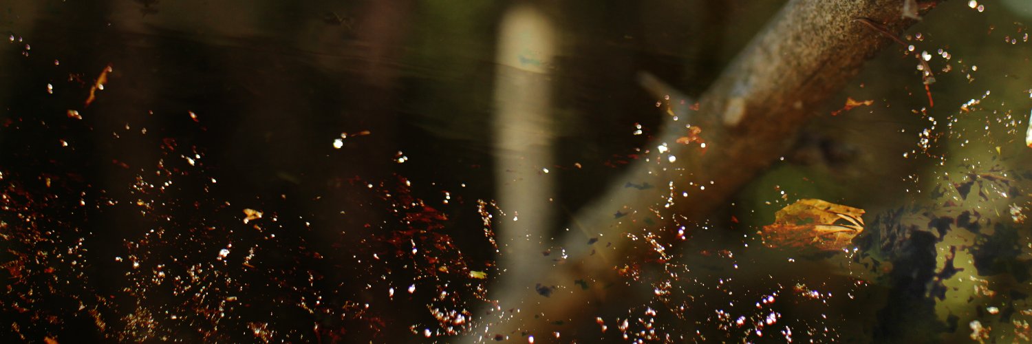 Daniel Saylor banner