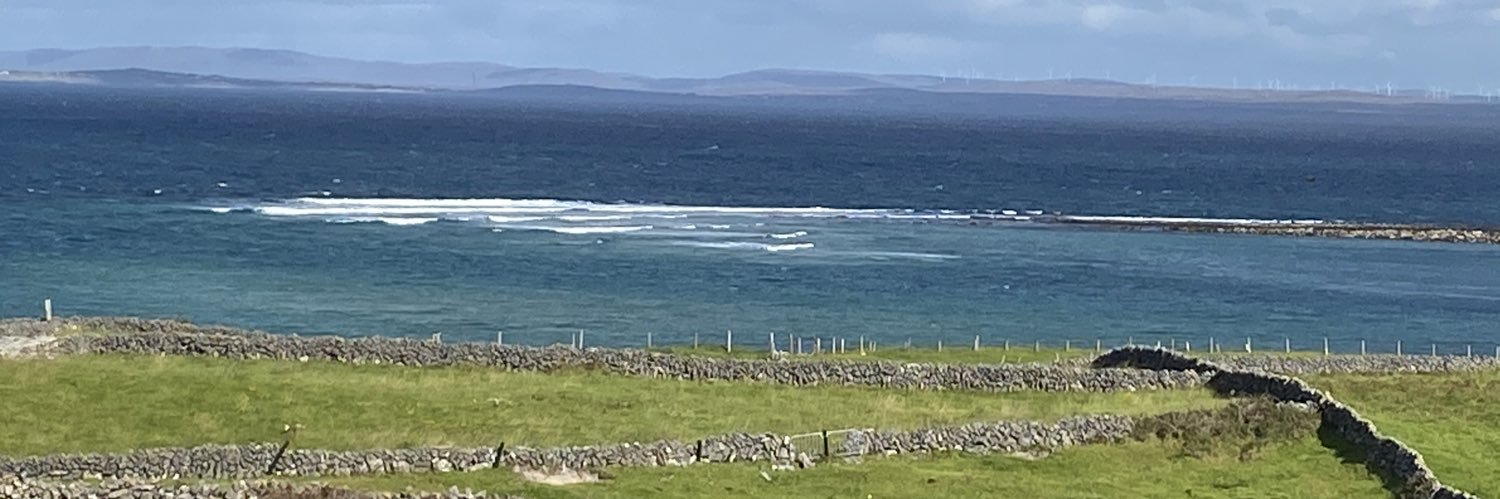 pomskua's profile banner image