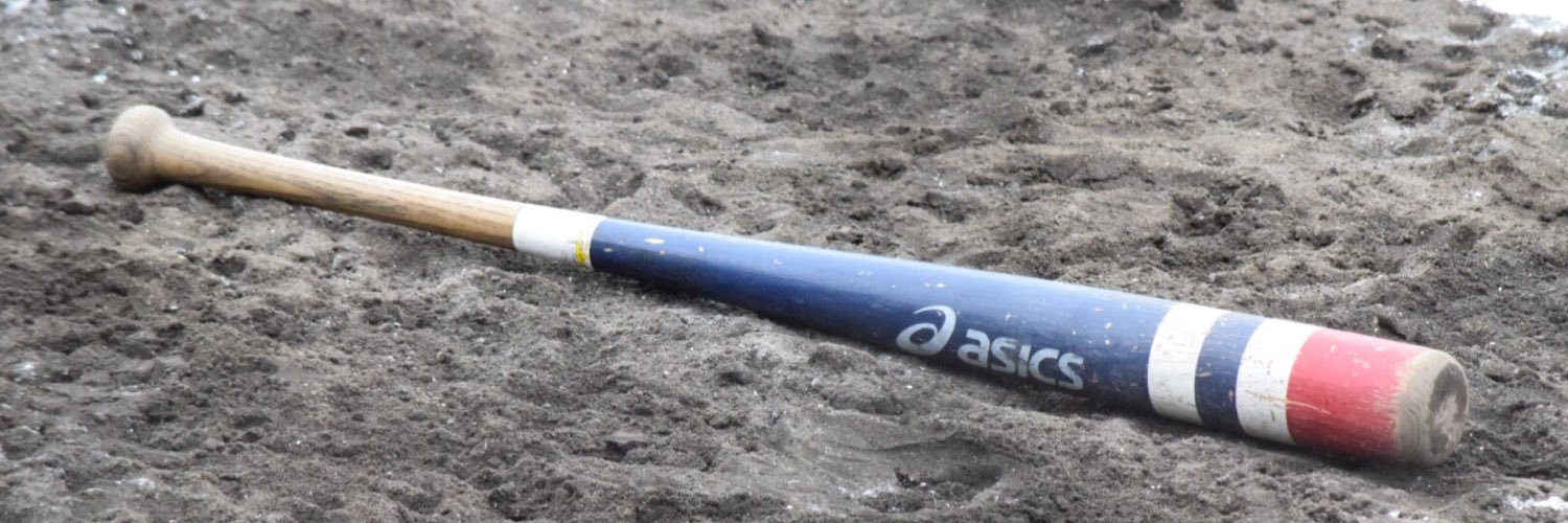 bear_baseball8's profile banner image