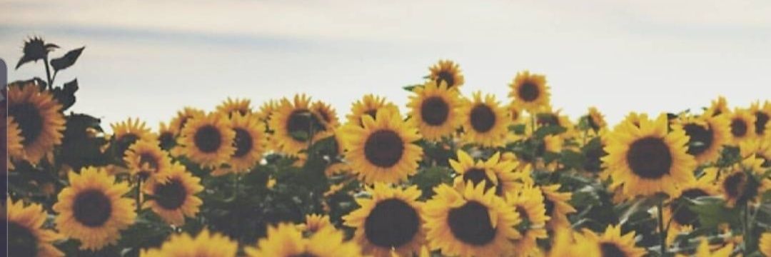 sluketherin's profile banner image