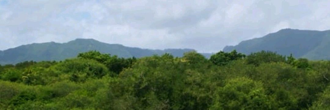 YovinValydon's profile banner image