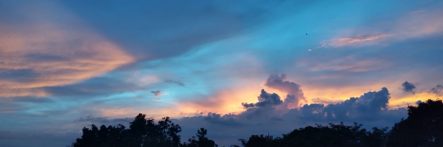 amphibiancss's profile banner image