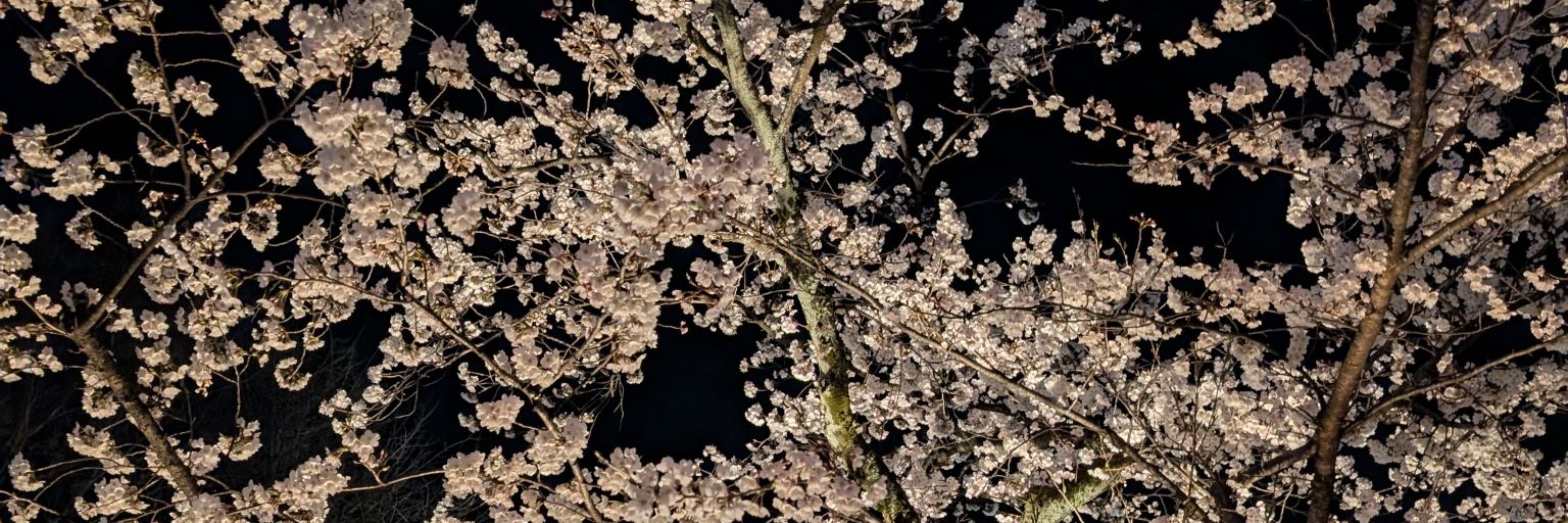 YoooTen's profile banner image
