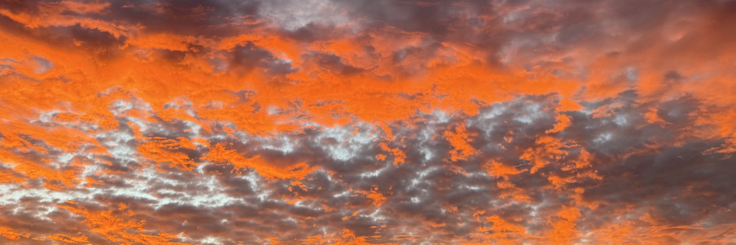 EvaFoster55's profile banner image