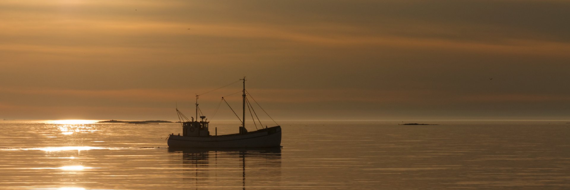 Lasse Penttinen banner