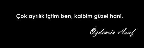 33Sevim's profile banner image