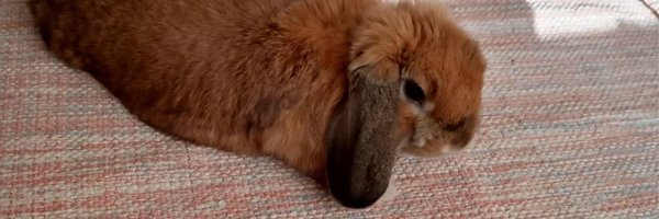 takalin07 Profile Banner